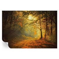 FOTOTAPETE 152x104 cm - Herbstlandschaft - Gelb, Textil (152/104cm) - Wallfluent