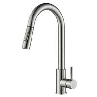 KÜCHENARMATUR Edelstahl mit herausziehbarer Brause 360° schwenkbar 2 Strahlarten gebürstet Chrom - Silberfarben, Metall (5.7/43.5/21cm)