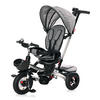 DREIRAD Zippy 3 in 1 grau umkehrbarer Sitz umbaubar Luftreifen Freilauf Gurt - Grau, Metall (92/50/100cm) - Lorelli