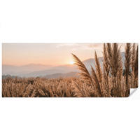 TAPETE - Gras - Feld - Sonne - Natur - 500x200 cm - Sandfarben, Papier (500/200cm) - OnlyWow