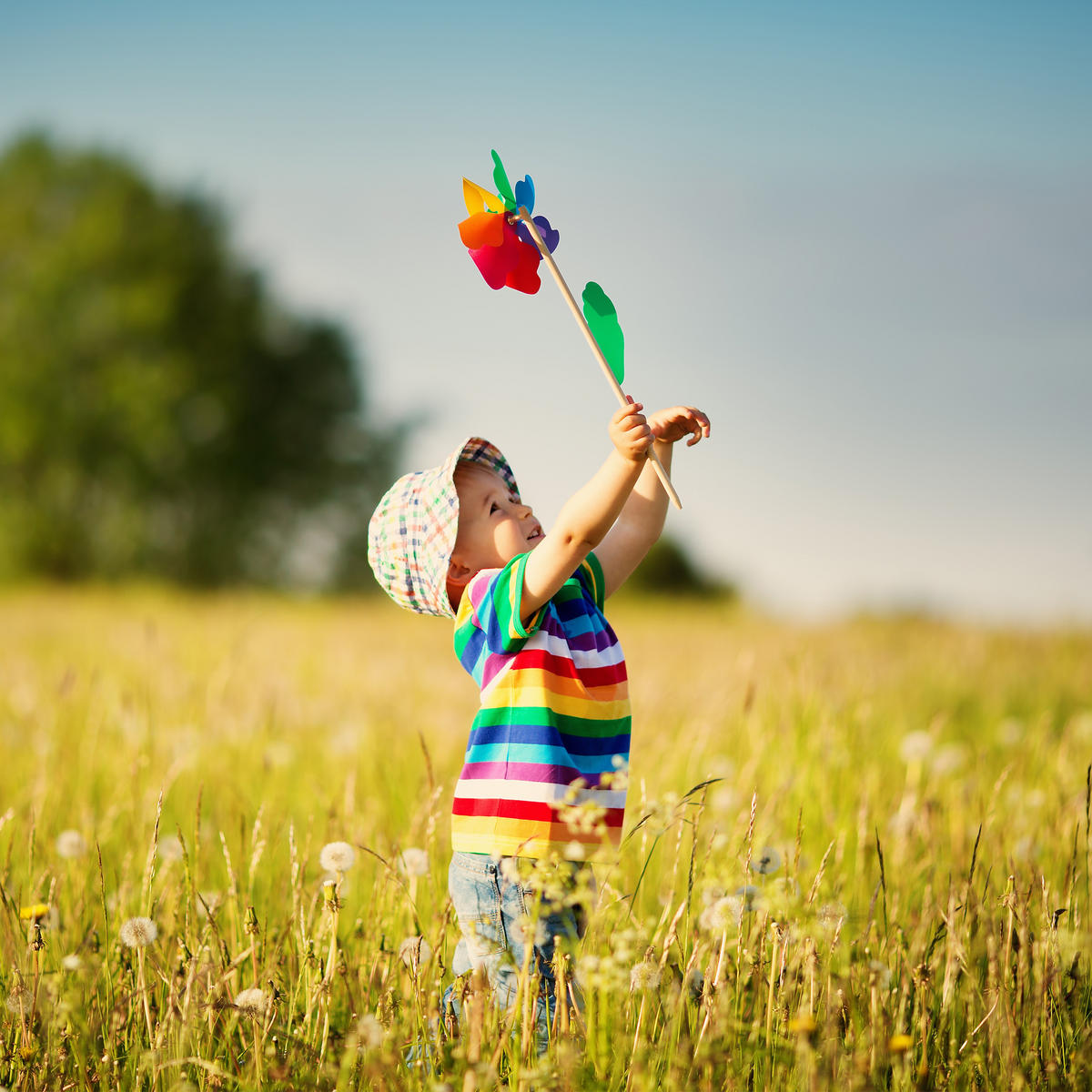 WINDRAD - Multicolor, Holz/Kunststoff (18/47.5/8.5cm) - Relaxdays