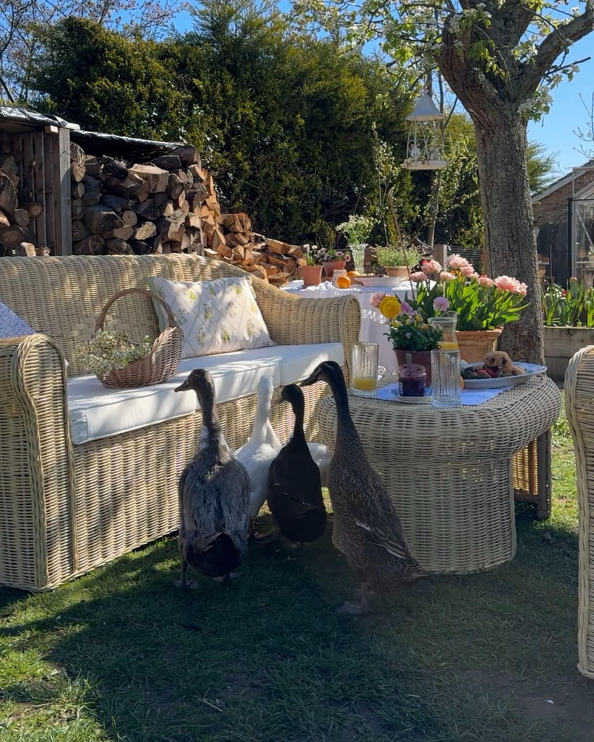 LOUNGE set cu 5 locuri ratan culoare naturală perne alb Fracasti - culoare naturală, materiale naturale - Beliani