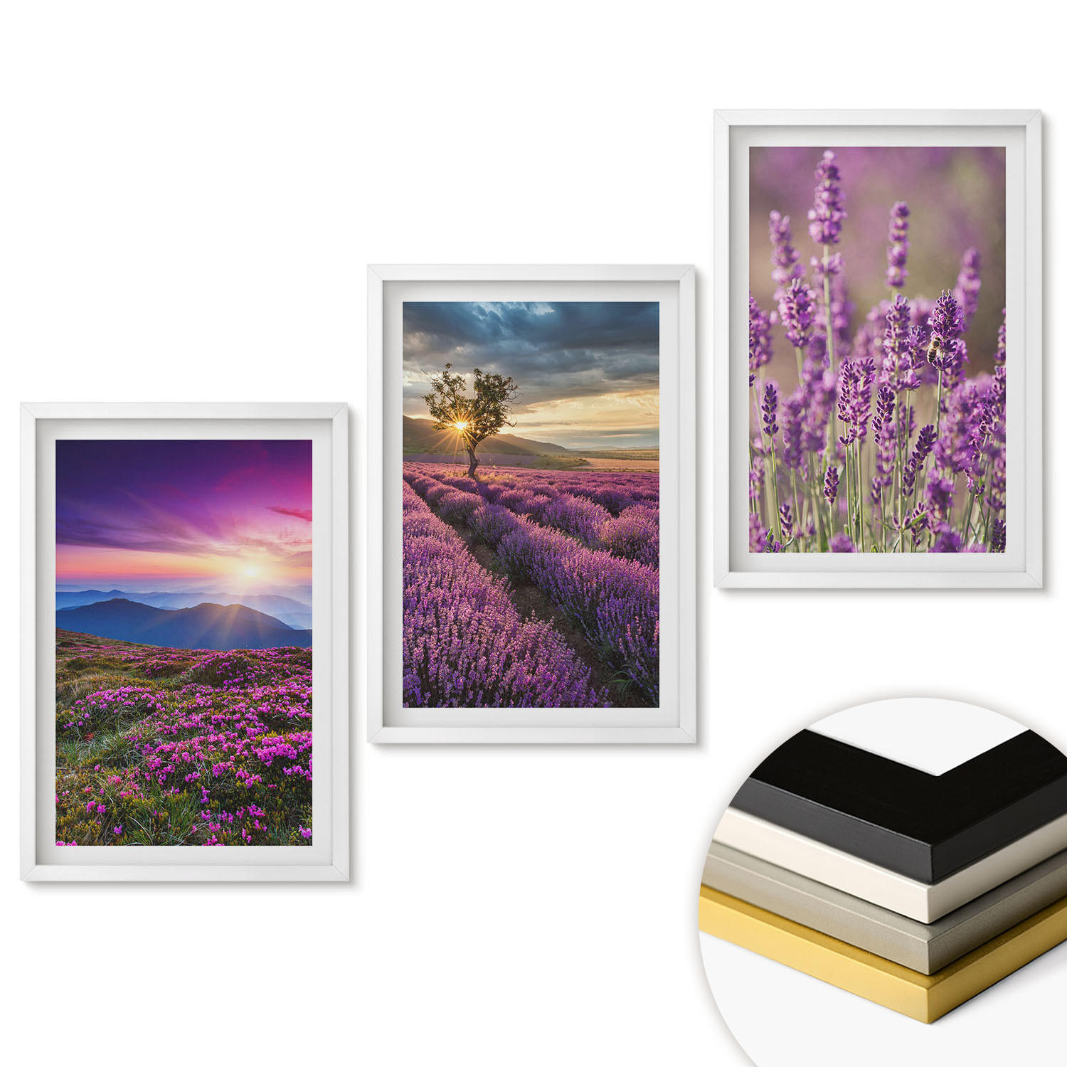 WANDBILDER 3er-Set - 40x60 cm Weißer Rahmen - Sonnenuntergang auf Lavendelfeldern - Weiß, Kunststoff (40/60cm) - ArtPrintCave