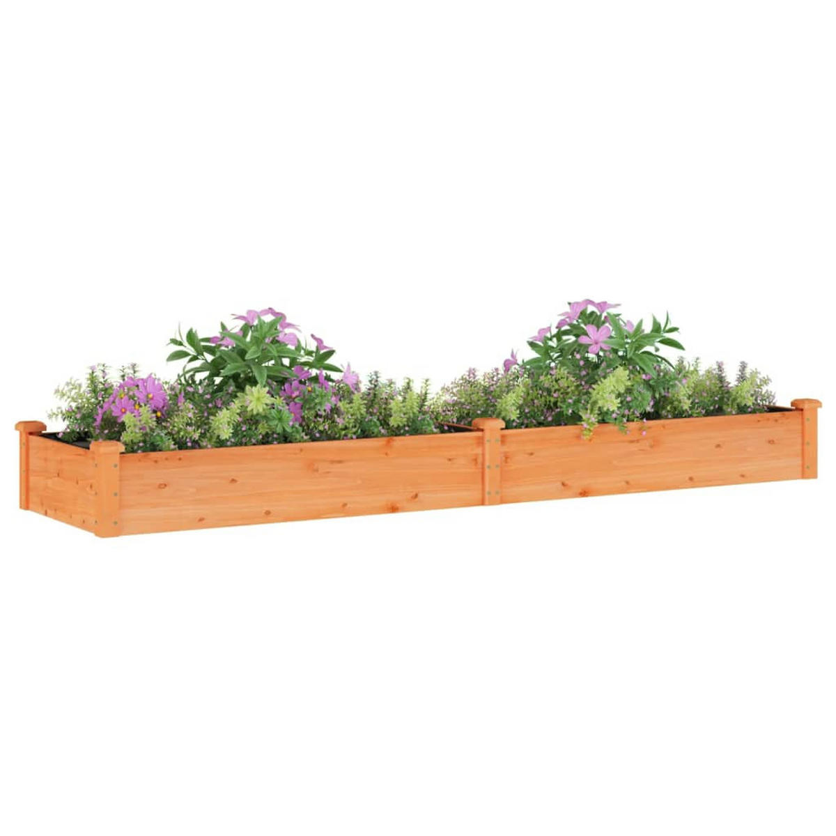 HOCHBEET mit Einsatz Braun 240x60x25 cm Massivholz Tanne - Braun, Holz (240/25/60cm)
