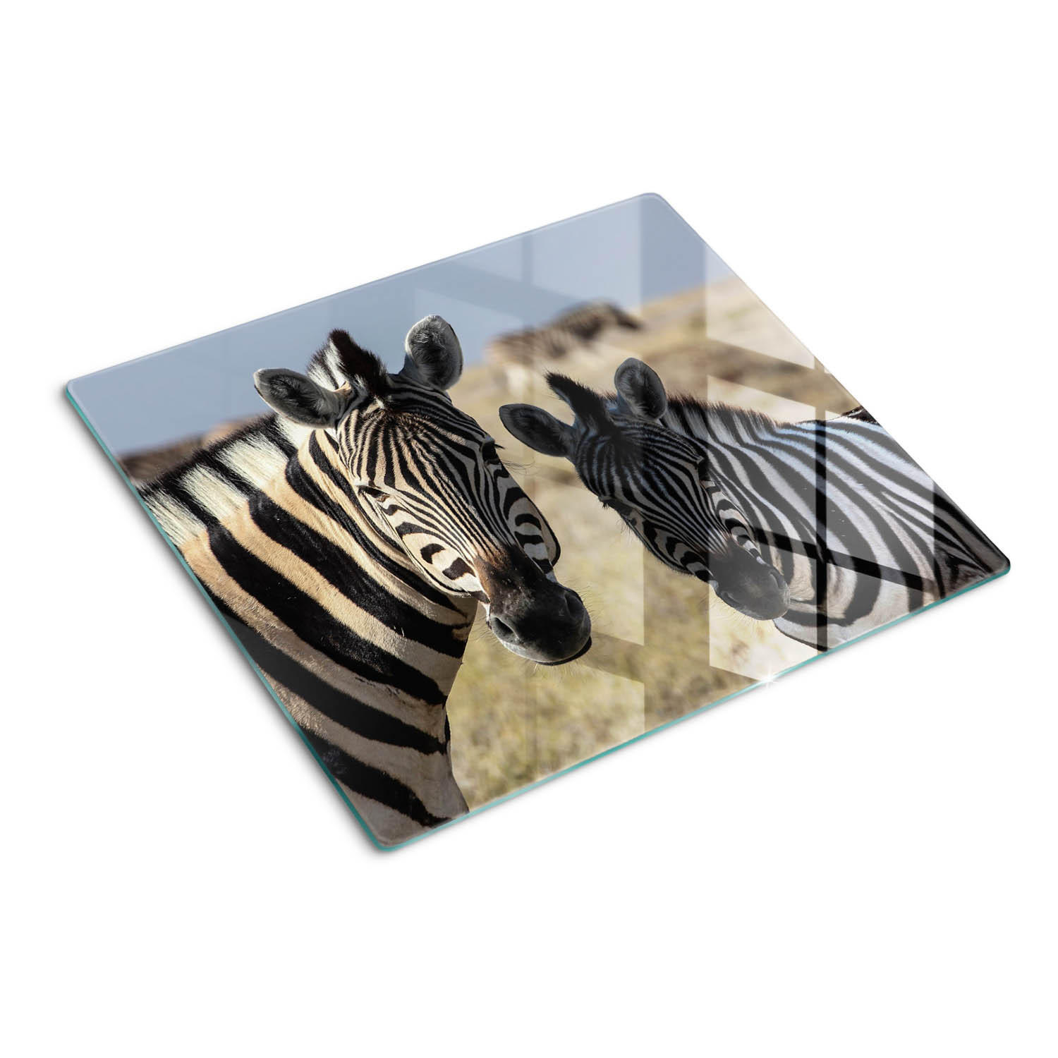GLASPLATTE 60x52 cm Zwei Zebras - Dunkelgrau/Weiß, Glas (60/0.4/52cm) - TULUP