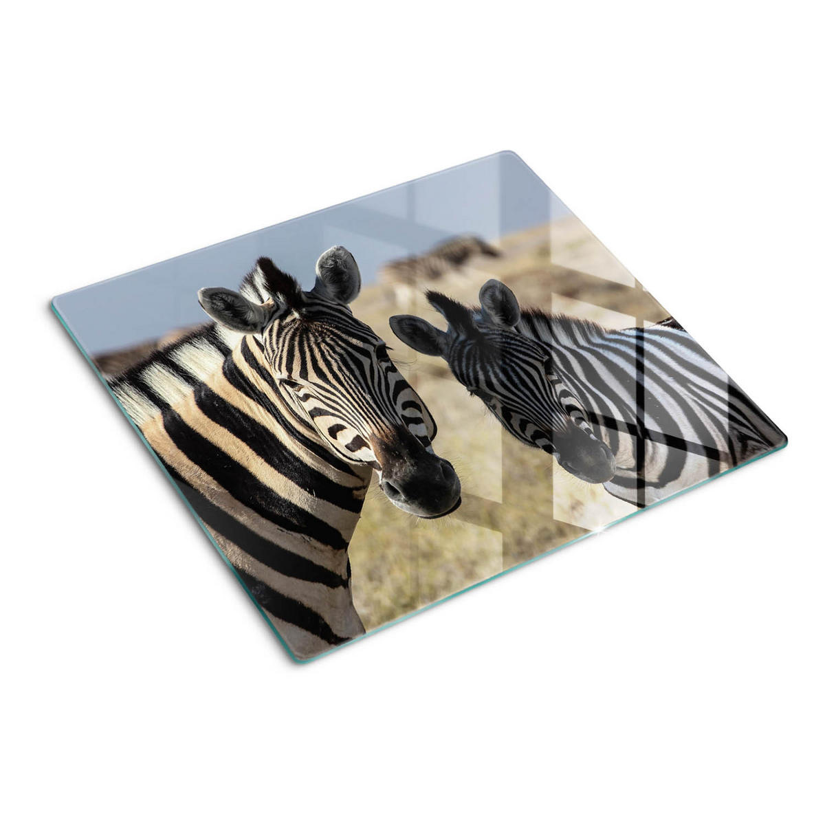 GLASPLATTE 60x52 cm Zwei Zebras - Dunkelgrau/Weiß, Glas (60/0.4/52cm) - TULUP