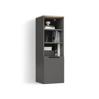 UNIVERSALSCHRANK Piave Anthrazit/Sonoma mit einer Tür - Anthrazit/Sonoma Eiche, Holzwerkstoff (40.2/120/40cm) - Livinity®