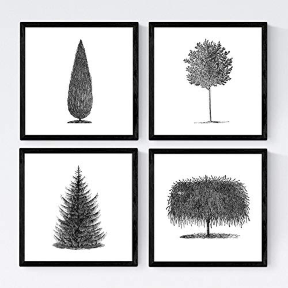 POSTER Set mit 4 Blättern der Bäume in weiß 20x20cm Schwarzer Rahmen - Schwarz, Papier (20/3cm) - Nacnic