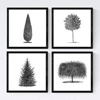 POSTER Set mit 4 Blättern der Bäume in weiß 20x20cm Schwarzer Rahmen - Schwarz, Papier (20/3cm) - Nacnic