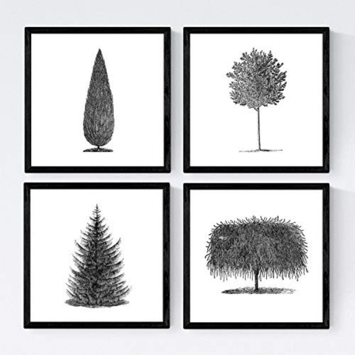POSTER Set mit 4 Blättern der Bäume in weiß 20x20cm Schwarzer Rahmen - Schwarz, Papier (20/3cm) - Nacnic