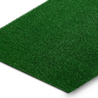 KUNSTRASEN SPRING Fertigmaß 100/250 cm - Pastellgrün, Textil (100/250cm) - rugsX