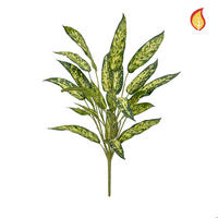 KUNSTPFLANZE Künstliche Aglaonema - Eva 65 cm - Grün, Kunststoff (65cm) - aplanta
