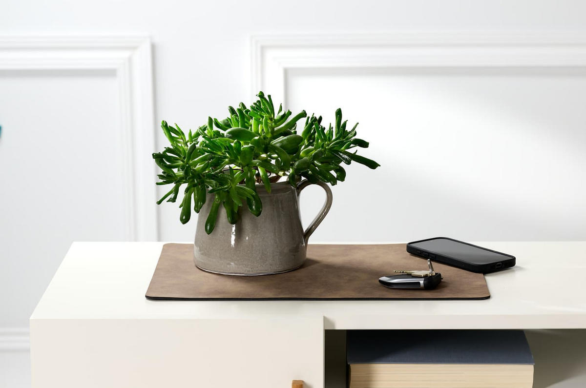 PLATZMATTEN Velora Hellgrau 43 x 30 cm 6er Set - Hellgrau, Kunststoff (43/30/0.2cm) - Ritzenhoff Breker