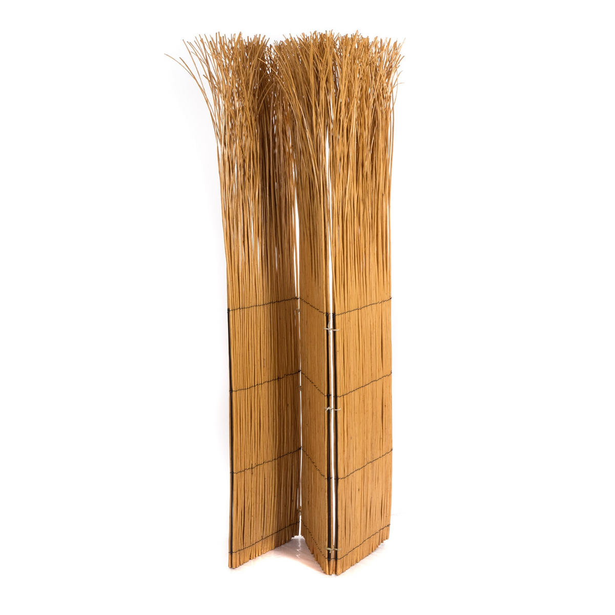 PARAVENT Nature 3-tlg. Weidenzweige honigfarben - Braun, Naturmaterialien (120/160/3cm) - DESIGN DELIGHTS