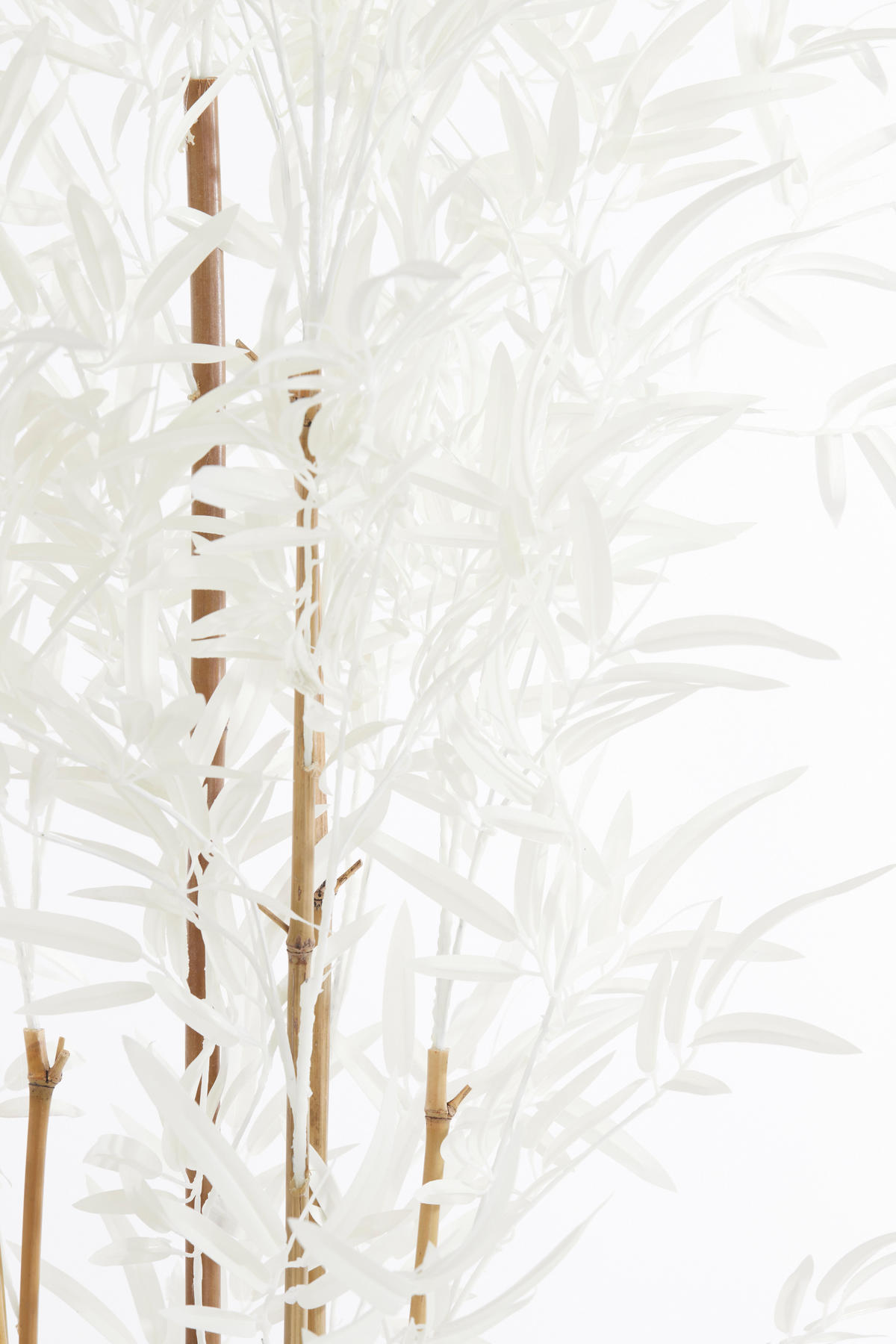 TOPF Bambus Braun 70/60/180 cm - Braun, Kunststoff (180cm) - Light & Living