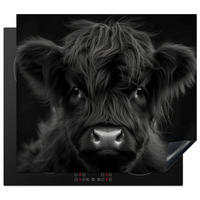 HERDABDECKPLATTE Scottish Highlander - Schwarz - Kalb - Kuh Herdabdeckung Induktionsfeld 60x52 cm - Schwarz, Kunststoff (60/52/0.2cm) - MuchoWow