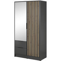 DREHTÜRENSCHRANK NELIANA 105/200/51 cm 2-türig mit Spiegel Graphitfarben - Graphitfarben, Holzwerkstoff (105/200/51cm) - MASSENO
