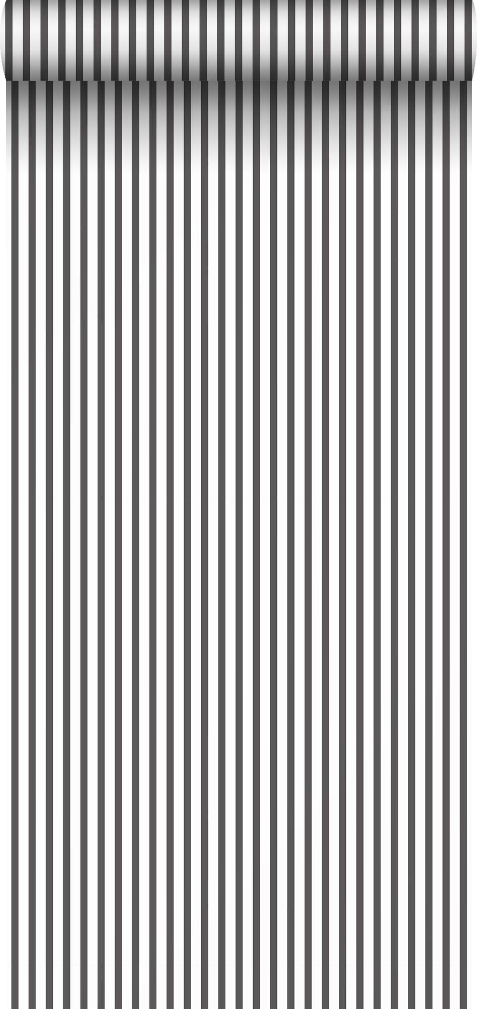 TAPETE Streifen 53 cm x 10 m - Schwarz, Papier (53/1000cm) - Sanders & Sanders
