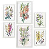POSTER Set Mit 6 Wilde Blumen Vollfarbige Natur Und Botanikdrucke Mit Blumenmotiven Auf Reinweißen Hintergründen A3 & A4 Weißer Rahmen - Weiß, Papier (29/3cm) - Nacnic