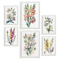 POSTER Set Mit 6 Wilde Blumen Vollfarbige Natur Und Botanikdrucke Mit Blumenmotiven Auf Reinweißen Hintergründen A3 & A4 Weißer Rahmen - Weiß, Papier (29/3cm) - Nacnic