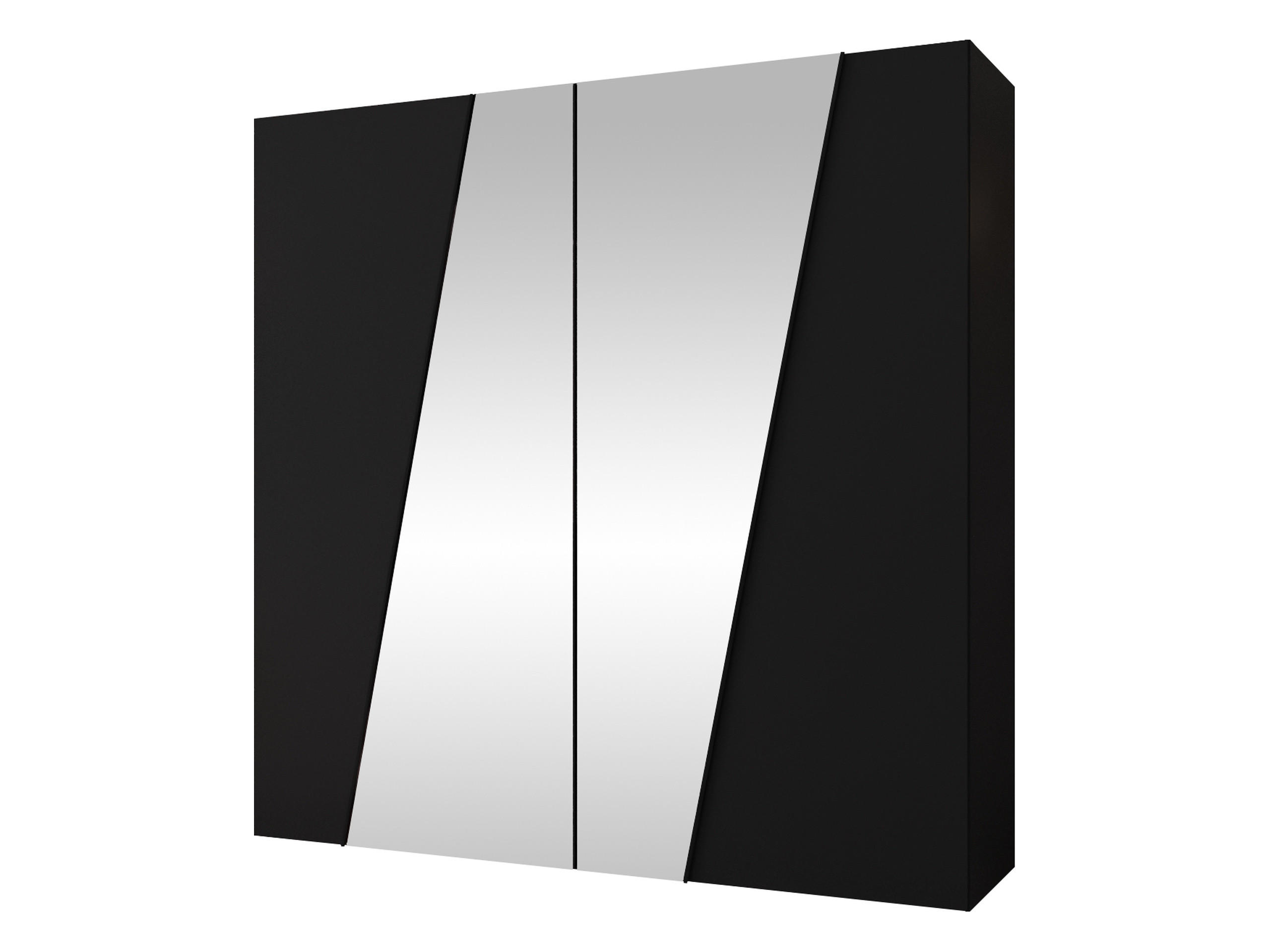 DREHTÜRENSCHRANK Zen 2L 200 cm - Schwarz, Holzwerkstoff/Kunststoff (200/202/50cm) - MIRJAN24