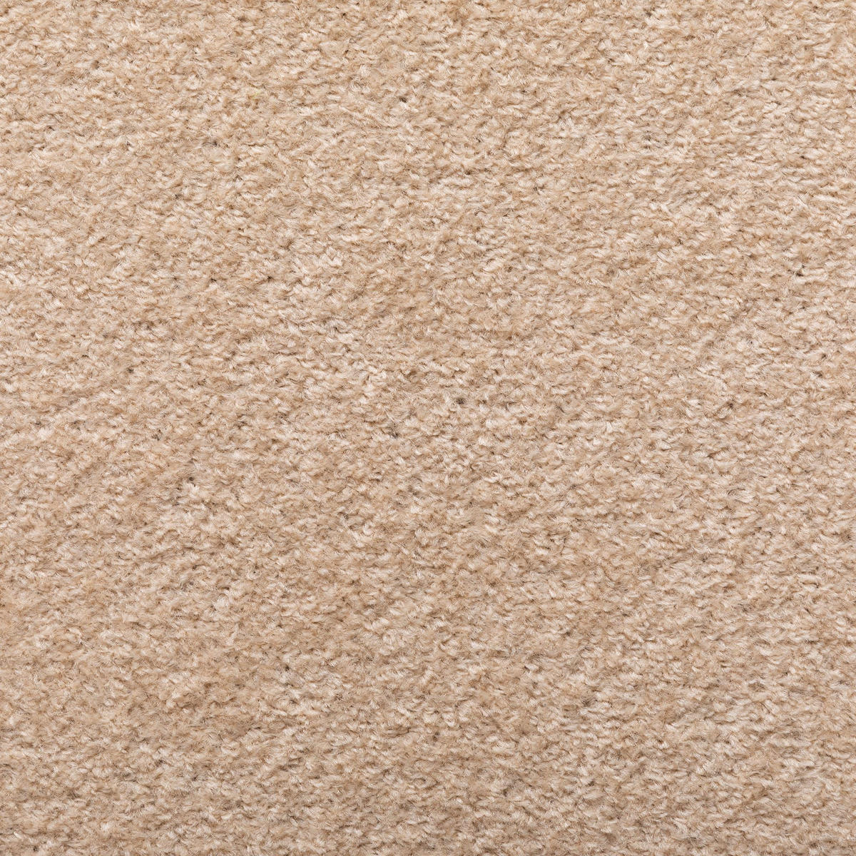 TEPPICHBODEN 300/800 cm Cambridge Young - Beige, Textil (800/300/1cm) - Steffensmeier