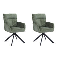 ESSZIMMERSTUHL ALUNA - Chenille Grün, 2 - Grün, Kunststoff/Metall (66/91/72.5cm) - Home Deluxe