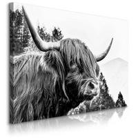 LEINWANDBILD für Wohnzimmer Schottische Kuh Bergen Natur 3D 90x60 - Schwarz/Weiß, Textil (90/60cm) - Muralo