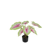 KUNSTPFLANZE Künstliche Caladium - Malena 55 cm - Grün, Kunststoff (53cm) - aplanta