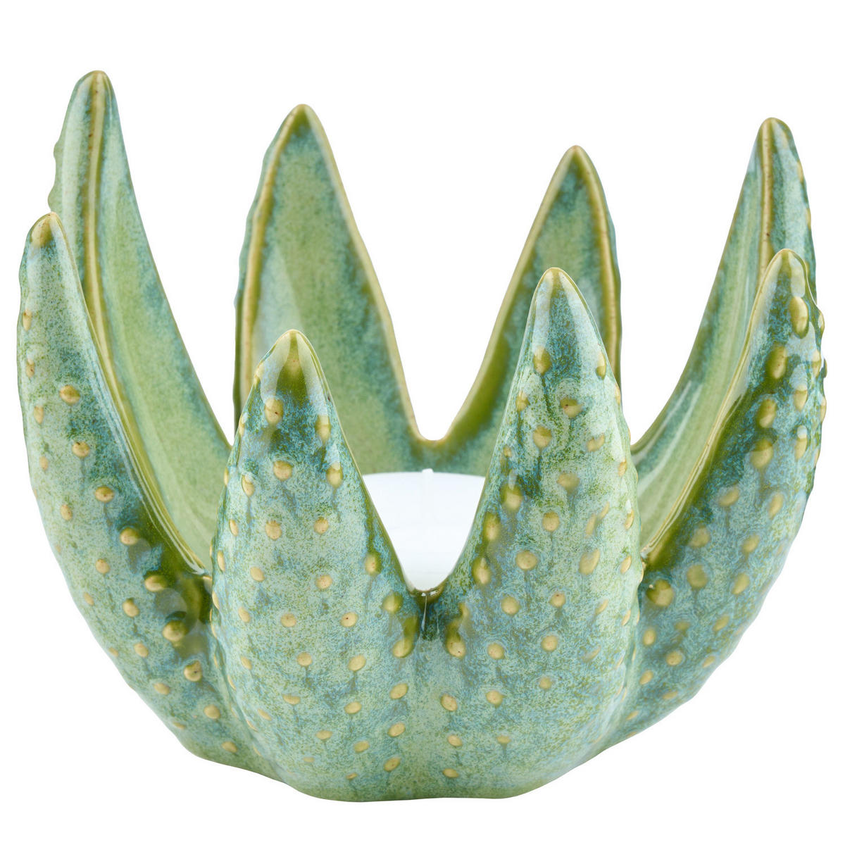 KERZENHALTER Aloe - Grün, Keramik (15/12/16cm) - Butlers