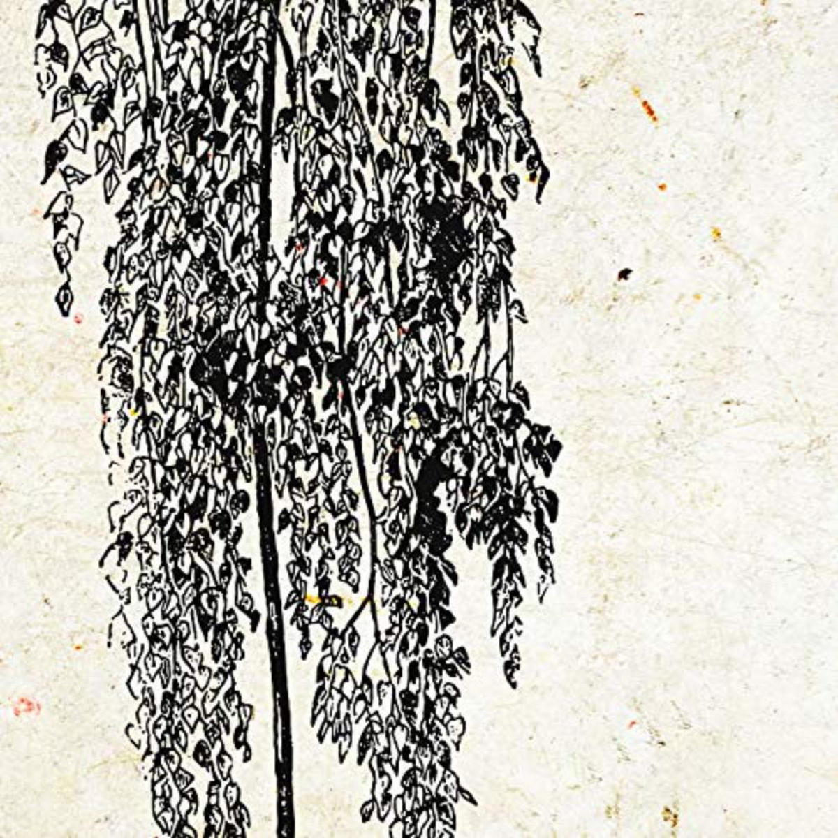 POSTER Set mit 4 Bädern Bäume verschiedene Blätter Weinlese Altpapierhintergrund 30x30 cm Rahmenlos - Klar, Papier (30/3cm) - Nacnic