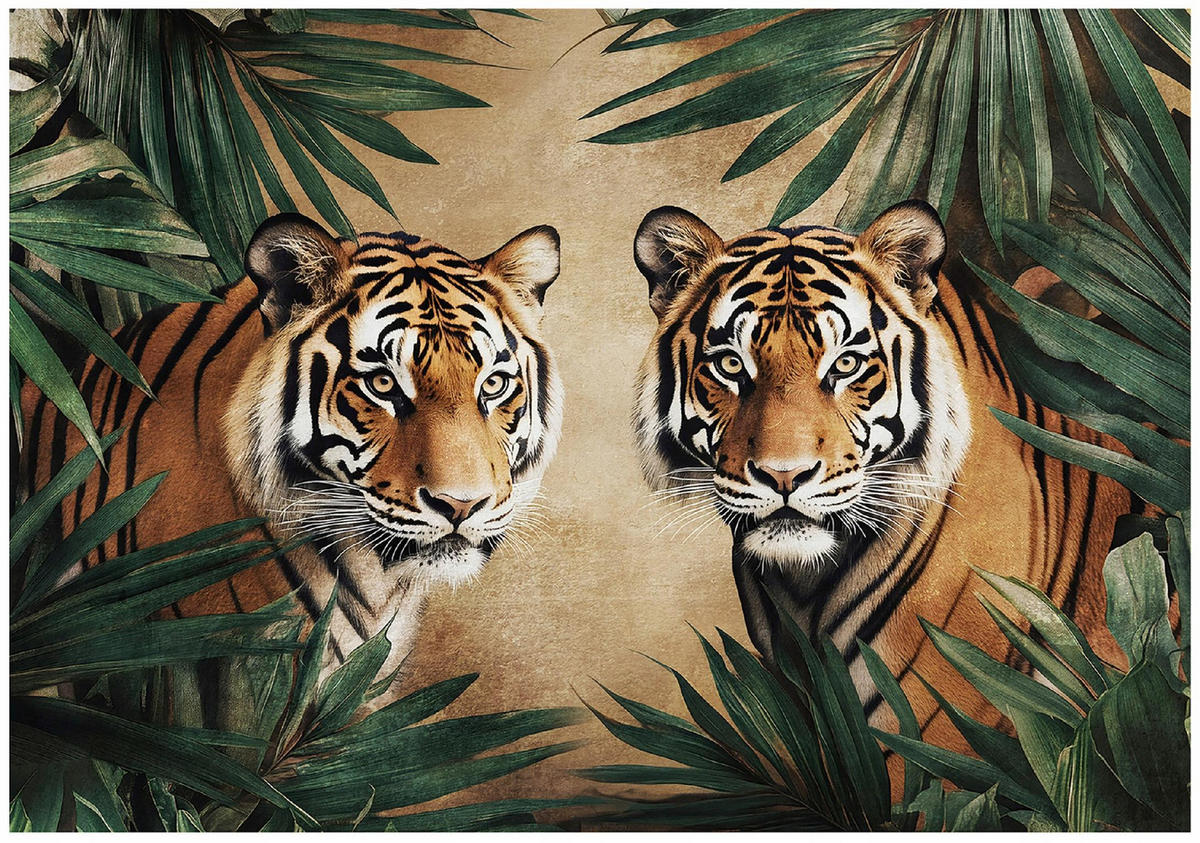 FOTOTAPETE Tiger Tiere Braun 368x254 cm - Multicolor, Papier (368/254cm) - Wallarena