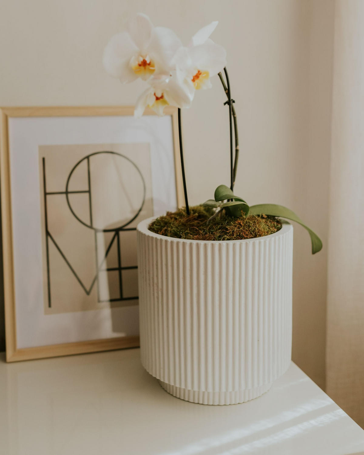 KVĚTINÁČ krémově bílý kulatý 24/24/24 cm Daria - bílá, přírodní materiály (24cm) - Beliani