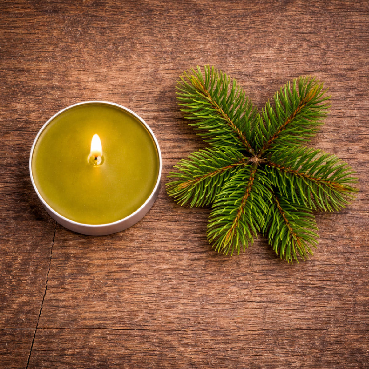 TEELICHT mit Duft - Pinie - 54er Pack - Olivgrün, Naturmaterialien (4/1.5/4cm) - HS Candle