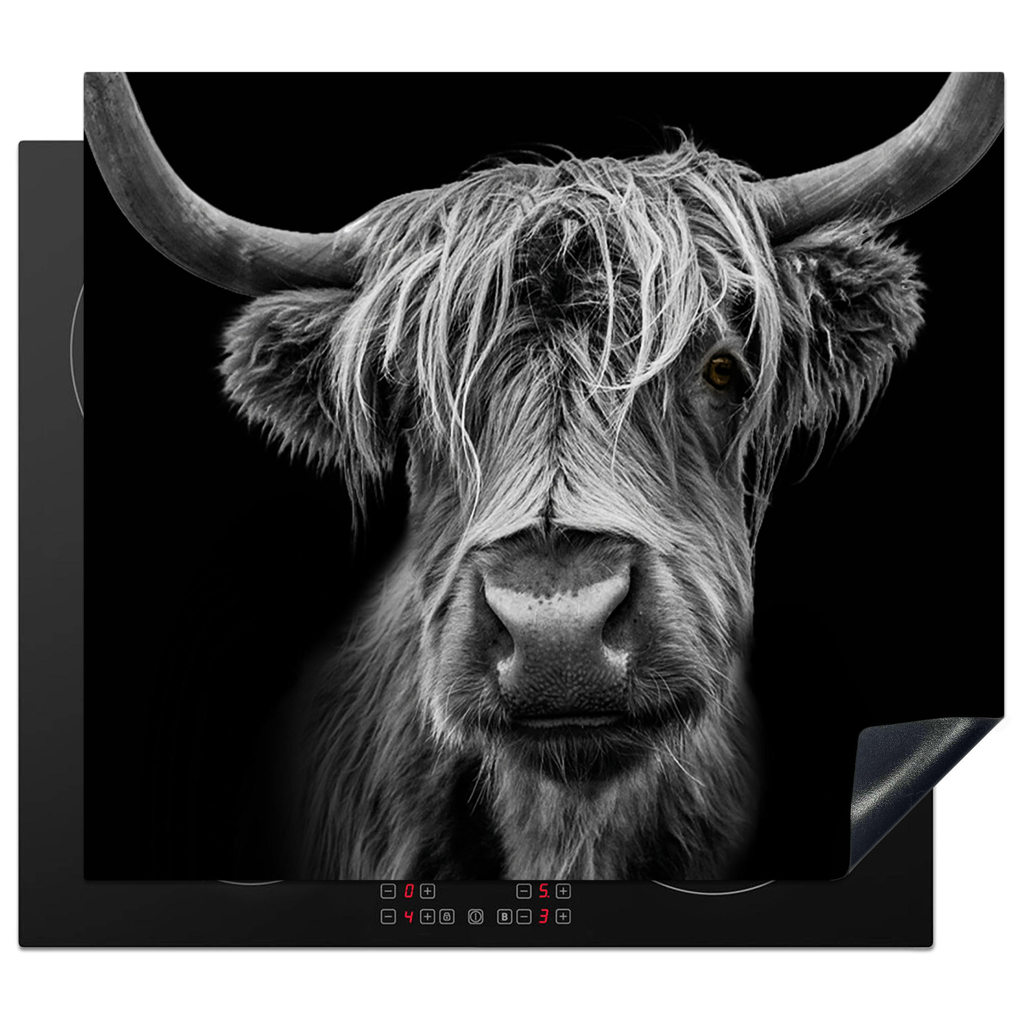 HERDABDECKPLATTE Schottischer Highlander - Hörner - Schwarz - Weiß - Kuh - Wild - Tiere Ceranfeldabdeckung 59x52 cm - Schwarz, Kunststoff (59/52/0.2cm) - MuchoWow