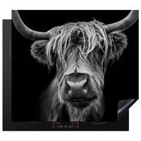 HERDABDECKPLATTE Schottischer Highlander - Hörner - Schwarz - Weiß - Kuh - Wild - Tiere Ceranfeldabdeckung 59x52 cm - Schwarz, Kunststoff (59/52/0.2cm) - MuchoWow