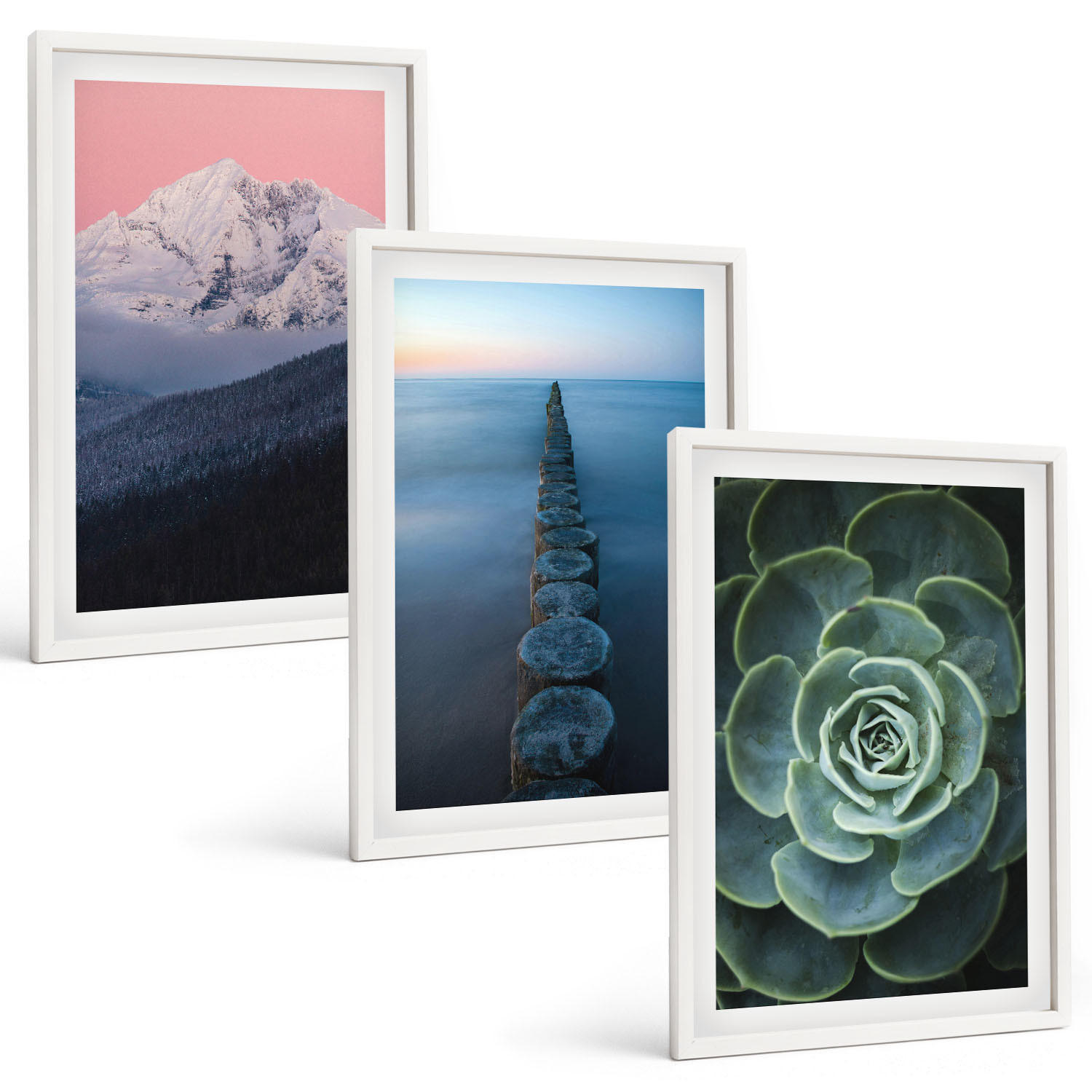 BILDER SET 3er Set - 40x60 cm Weißer Rahmen - Berge, rosa Himmel, Wasser, Sukkulente - Weiß, Kunststoff (40/60cm) - TULUP