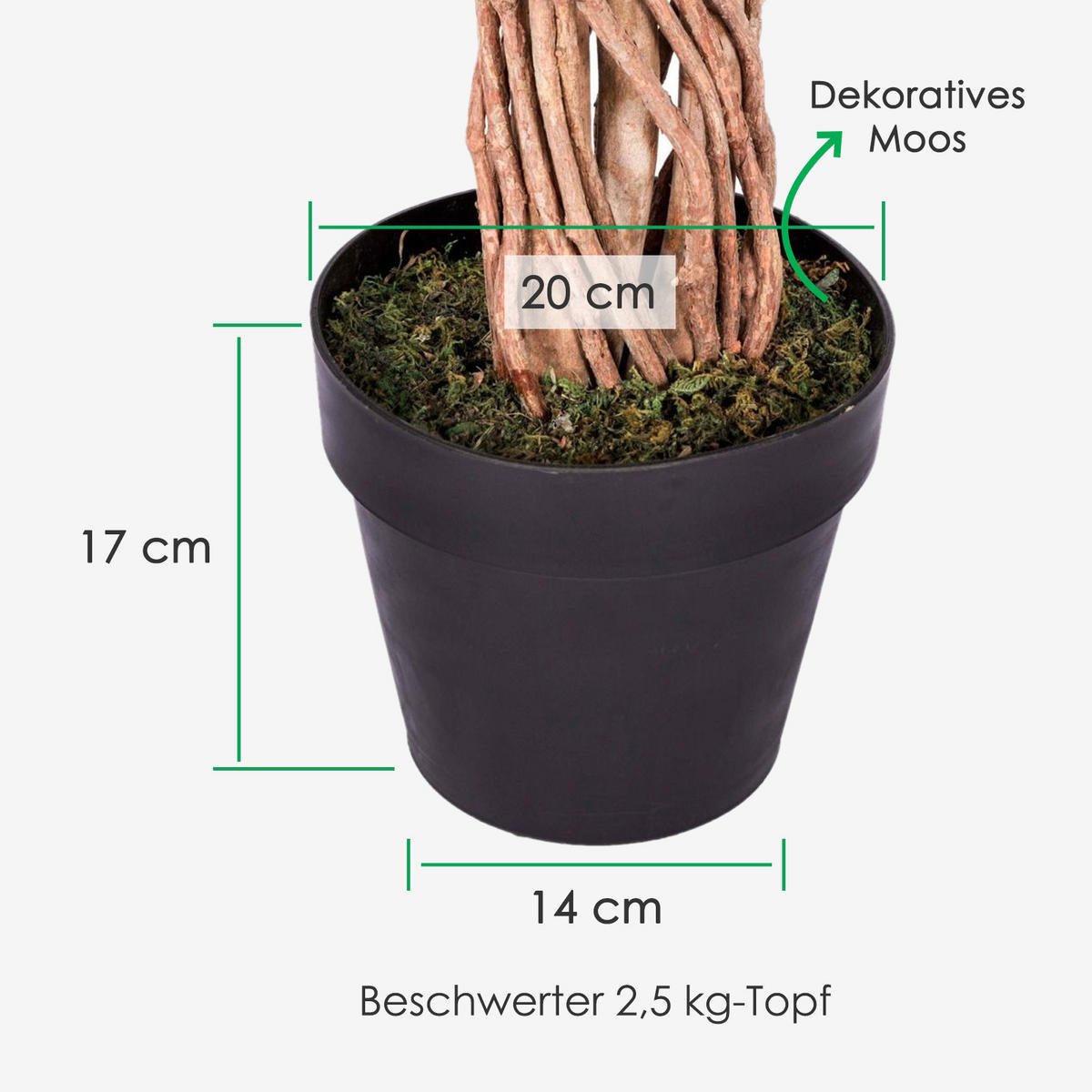 KUNSTBAUM Ficus benjamini, 180 cm - Grün, Kunststoff (180cm) - Homescapes