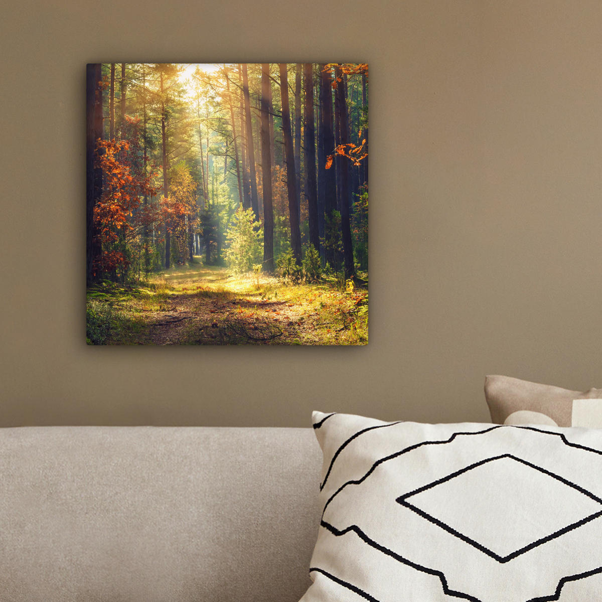 LEINWANDBILD Wald - Herbst - Bäume 20x20 cm - Dunkelgrün, Textil (20/20cm) - MuchoWow