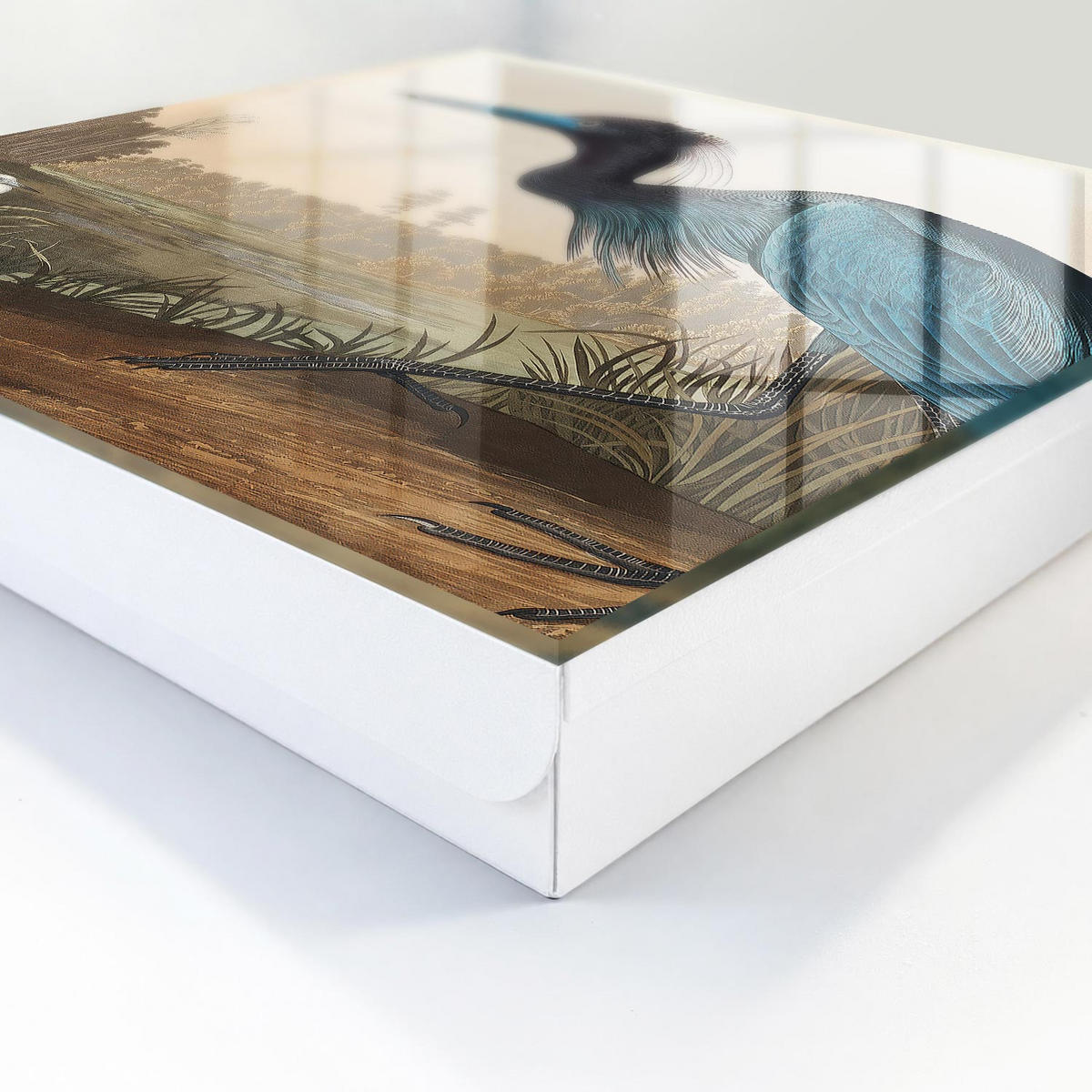 SCHLÜSSELBOX Weiß 30x30 cm – Türöffnung nach rechts - Exotischer Vogel - Blau, Metall (30/30/5cm) - TULUP