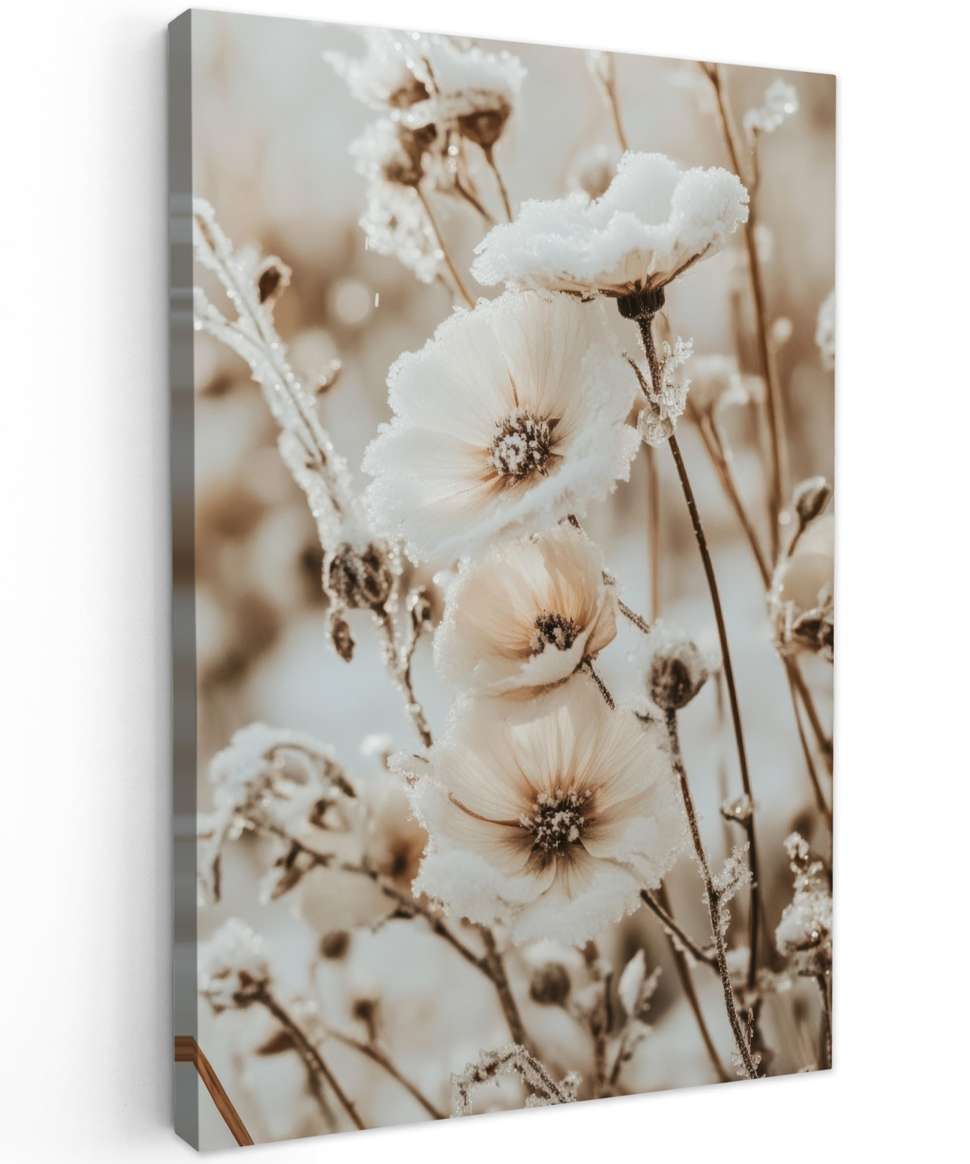 MuchoWow OBRAZ NA PLÁTNĚ Květiny - Zima - Bílá - Sníh - Béžová 60x90 cm