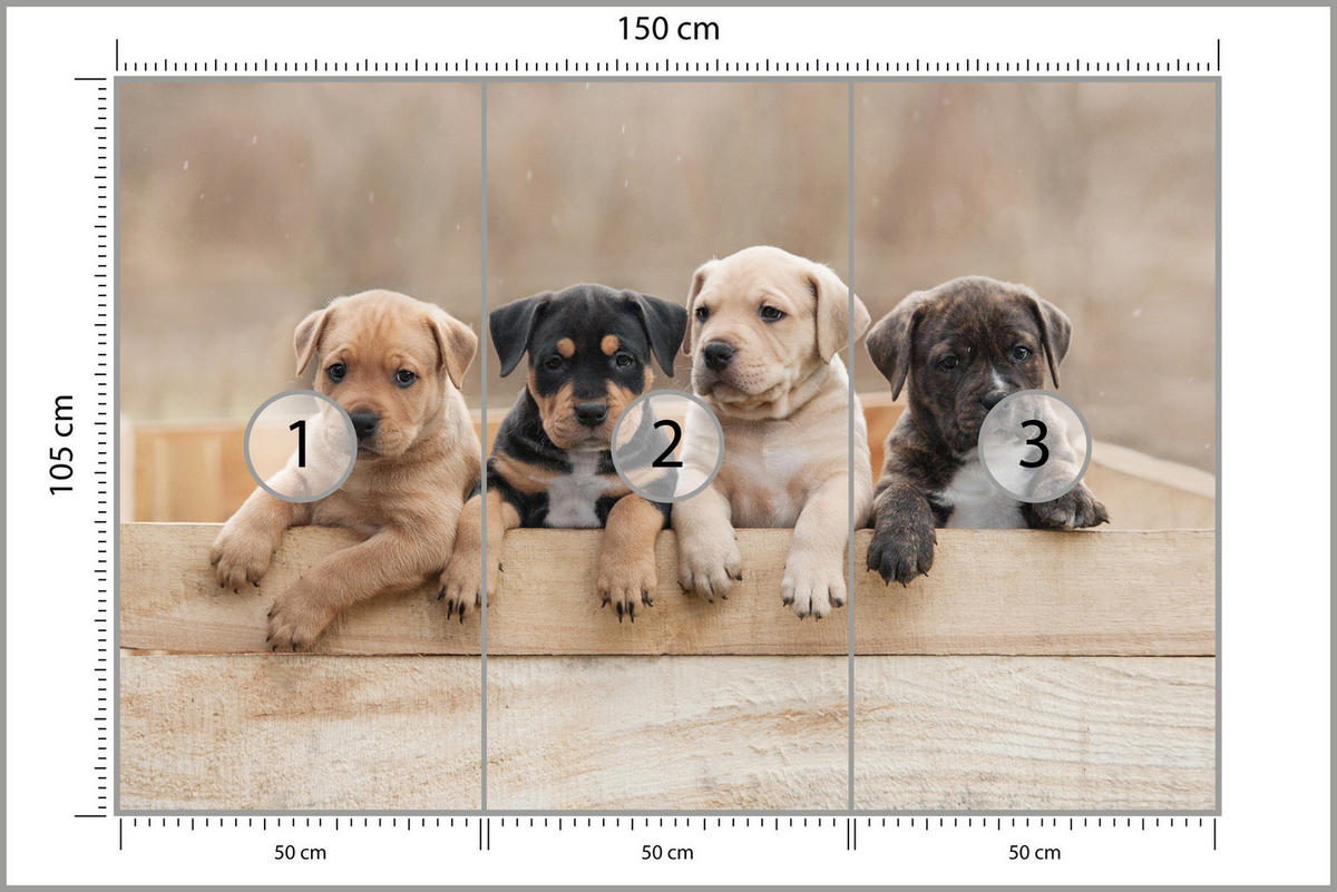 FOTOTAPETE für Kinderzimmer Süße Hunde Tiere 150x105 - Beige/Schwarz, Papier (150/105cm) - Muralo