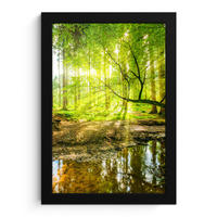 GERAHMTES BILD Wald - Landschaft - Wasser - Bäume - Sonne - Grün - Natur 20x30 cm - Grün, Papier (20/30cm) - MuchoWow
