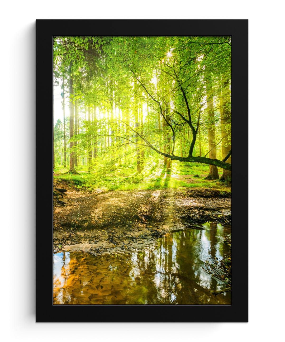 GERAHMTES BILD Wald - Landschaft - Wasser - Bäume - Sonne - Grün - Natur 20x30 cm - Grün, Papier (20/30cm) - MuchoWow