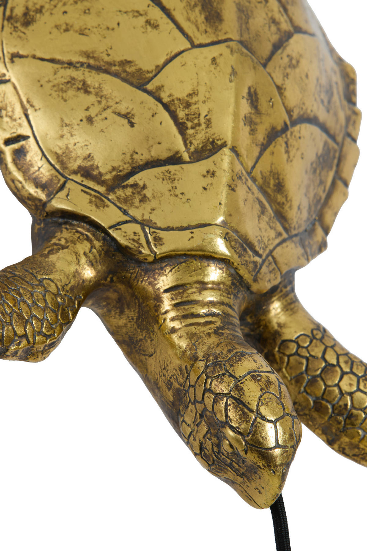 WANDLEUCHTE Schildkröte Bronze 35/26/20 cm - Bronzefarben, Kunststoff (26/20/35cm) - Light & Living