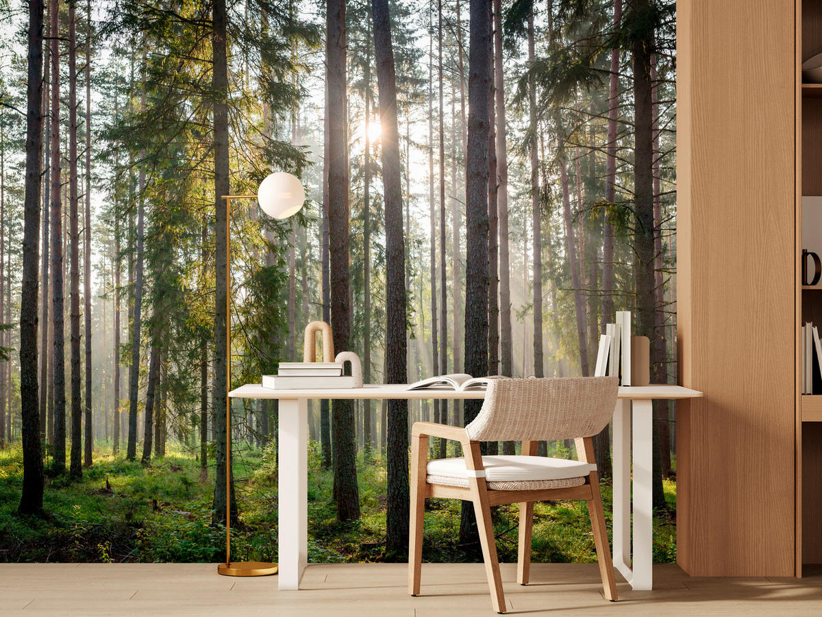 FOTOTAPETA Pre Obývaciu Izbu LES Východ Slnka Mach Stromy Zelená 150 x 105 cm - hnedá/sivá, papier (150/105cm) - Muralo