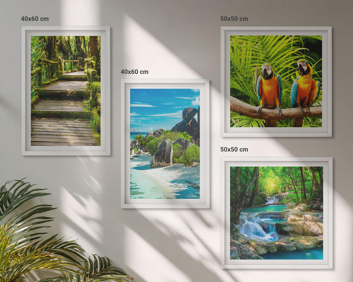WANDBILDER 4er-Set - 50x50 cm & 40x60 cm Weißer Rahmen - Tropischer Wald Papageienwasserfall - Weiß, Kunststoff (50/50cm) - ArtPrintCave