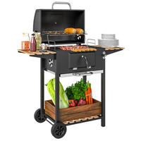 HOLZKOHLEGRILL DE-10325 höhenverstellbare Kohlenpfanne Schwarz - Schwarz, Metall (58/107/112cm) - ComfortXL