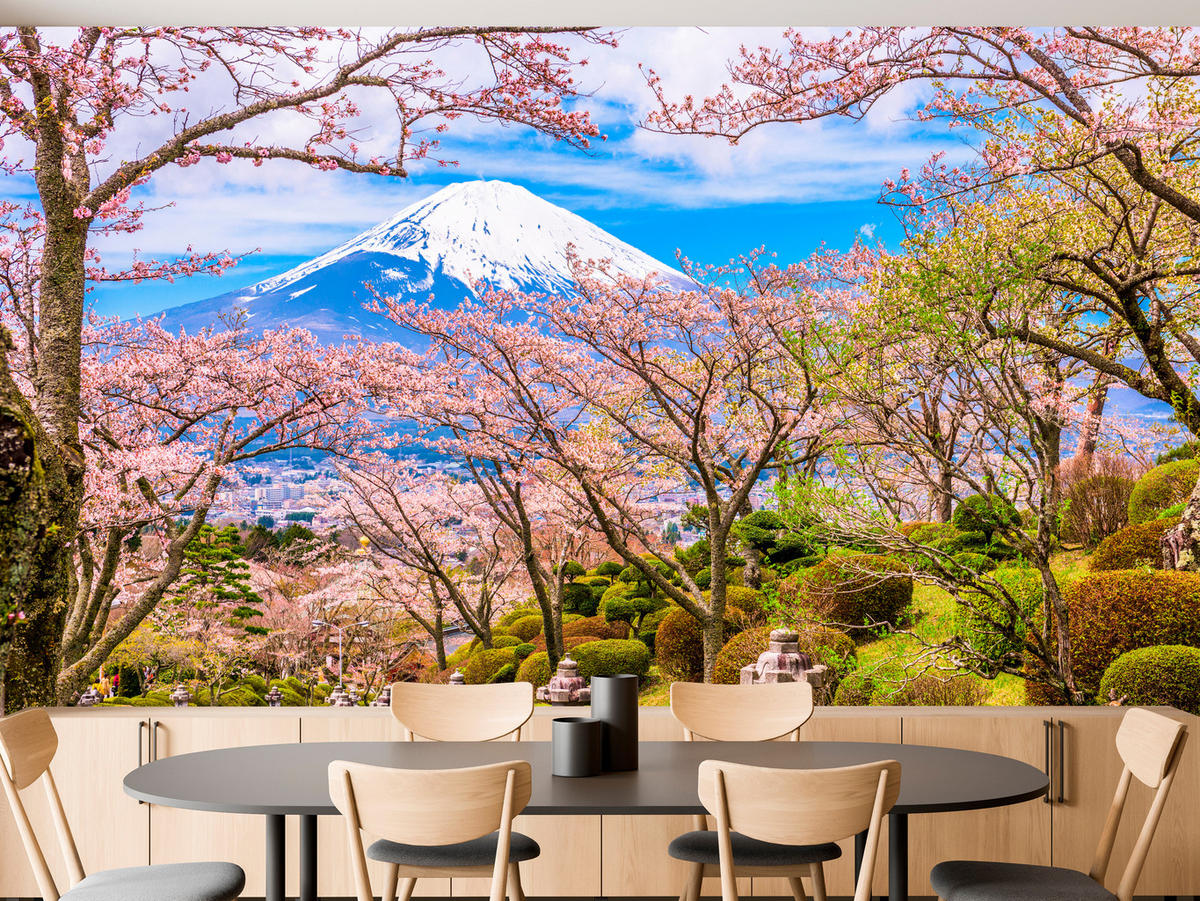 FOTOTAPETE für Wohnzimmer Peace Park Fuji View Kirschblüten 150x105 - Rosa/Braun, Papier (150/105cm) - Muralo
