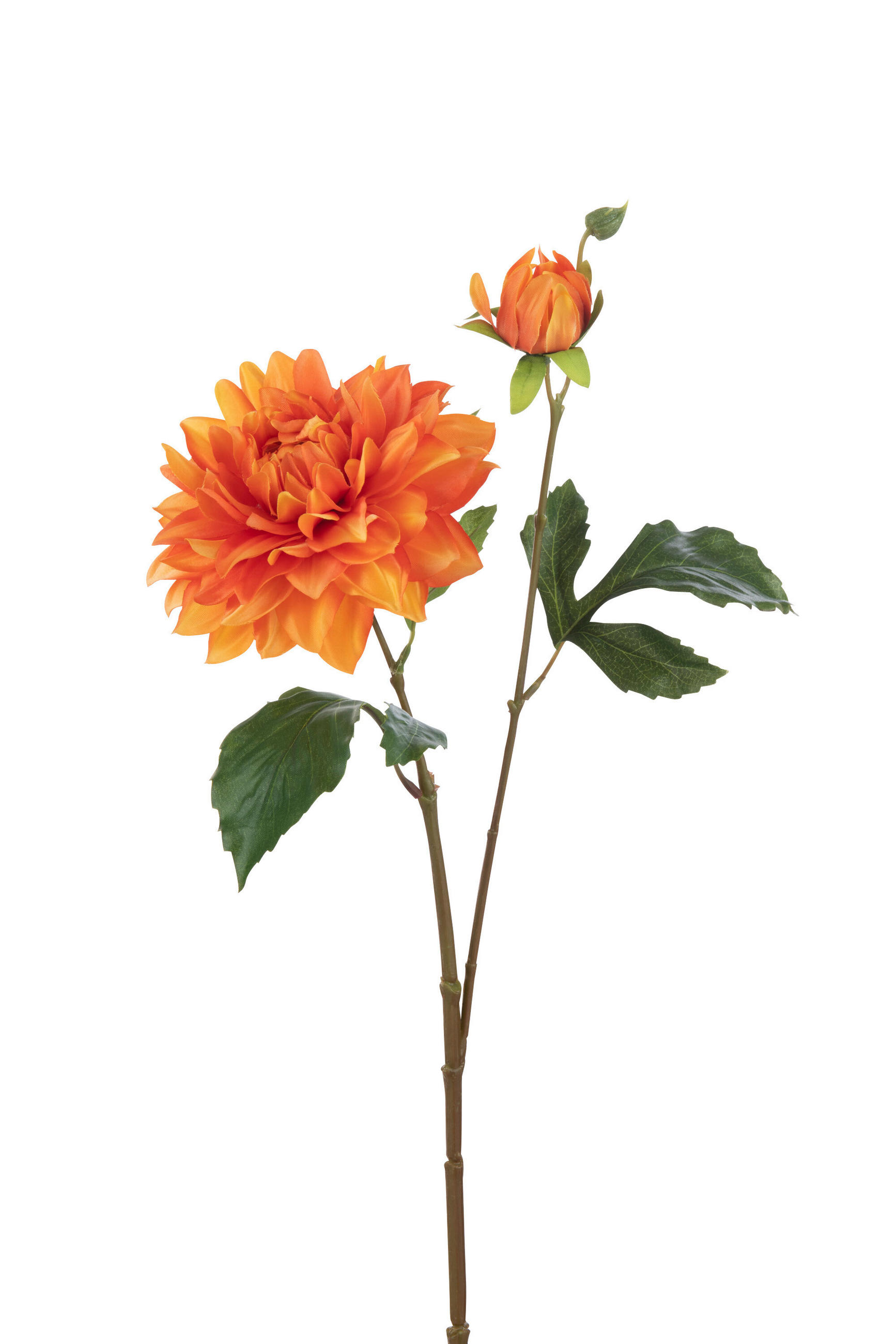 BLUME ELISE - Polyresin - Orange - Orange, Glas/Naturmaterialien (12cm) - J-Line